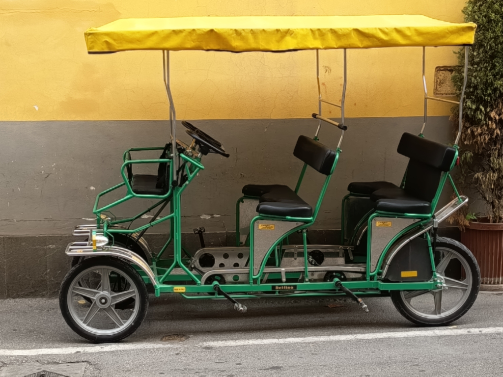 Surrey Bike